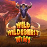 Bocoran RTP Slot Pragmatic Wild Wildebeest Wins